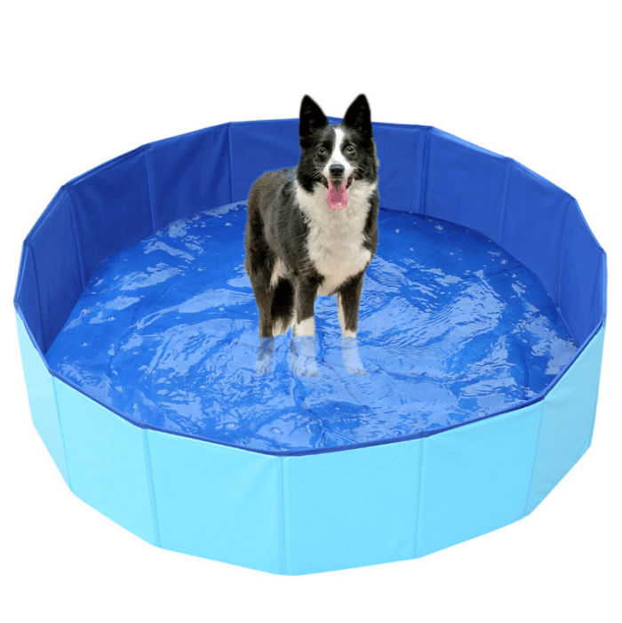 ‎Portable Foldable Dog Pet Pool